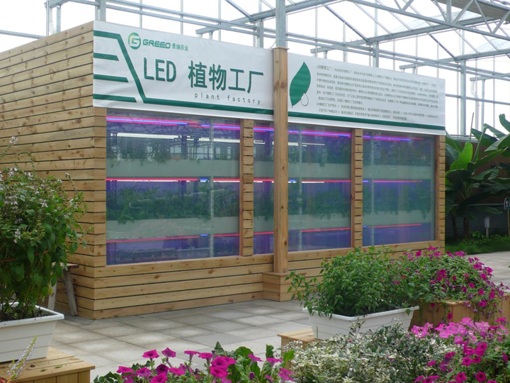 科技赋能沃土，绿满通州菜园——南通通州科技与农业深度融合走出绿色致富新路径